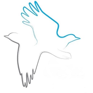 Logo Консультационная помощь ZIRF